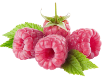 photo RASPBERRY