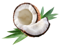 photo COCONUT OIL